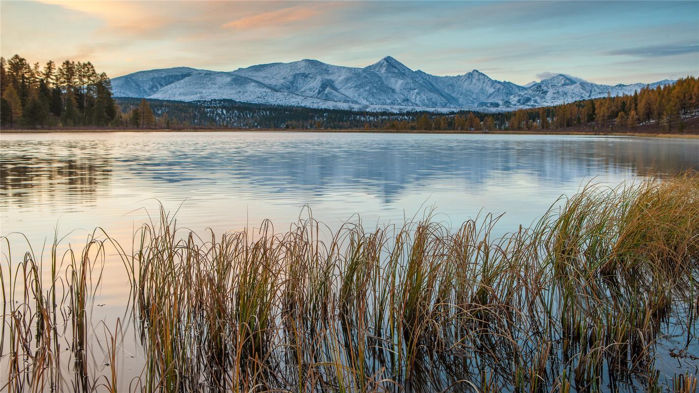 Top 10 Learning Resources For Students Knowledge And Science Bulletin Top 10 Learning Resources For Students Knowledge And Science Bulletin