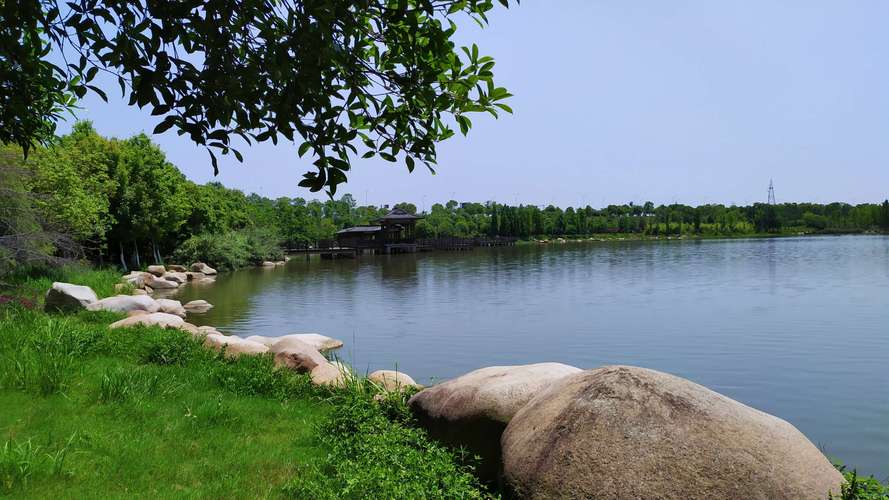 Understanding the Proficiency Bonus 5e Chart A Beginner's Guide