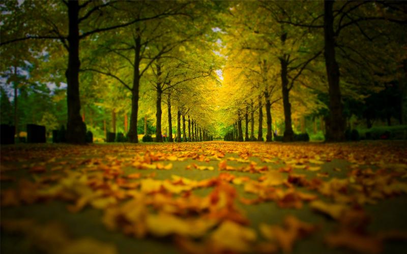 10-inspiring-personal-leadership-mission-statement-examples-knowledge